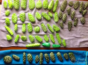 piedras verdes pintadas con detalles cactu 300x224 - How to paint cactus rocks