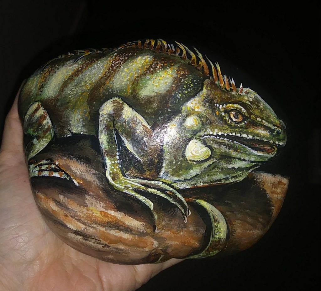 Iguana rock in PiedraCreativa
